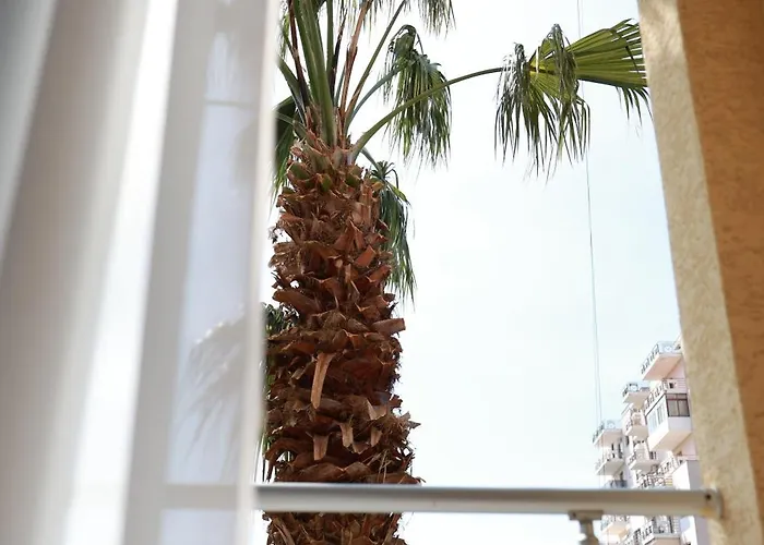 Palm Breeze Apartment Durrës